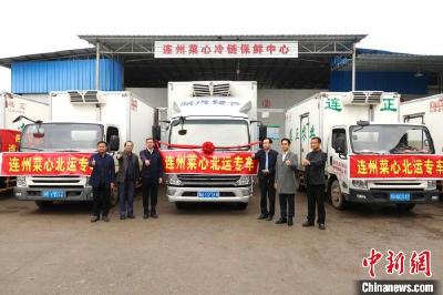 广东力推“南菜北运” 连州菜心首发入沪