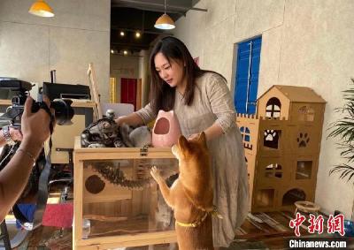 台湾姑娘在大陆做“动物沟通师”