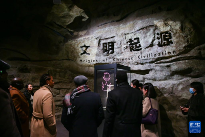 非洲驻华大使参观中国考古博物馆并参加交流活动 