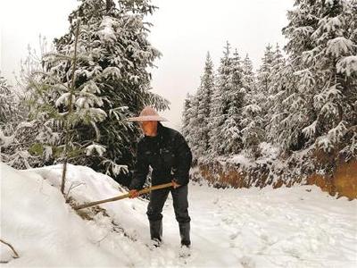 湖北罗田七旬老人荒山植树35年 让百余亩荒山披绿