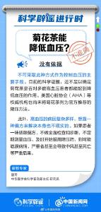 中新真探：多喝菊花茶能降血压吗？