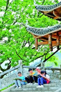 春日，携一卷泛黄的书回家——古旧书市焕发新机