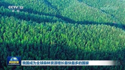 我国成为全球森林资源增长最快最多的国家