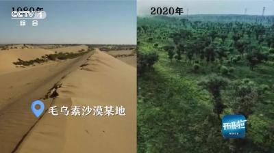 出口落叶就能获取暴利，他却要断了这条财路！