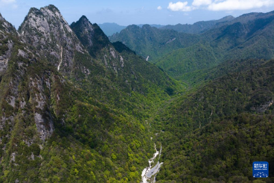 陕西宝鸡：文旅助力古城焕发新活力 