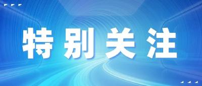 高考放榜🤗黄冈高考简报来啦……