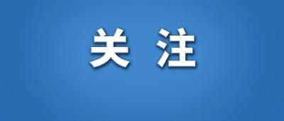 部分地方政府政务号关停！“指尖之累”须从源头治理