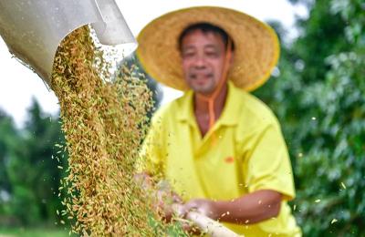 6月起，这些新规将影响你我生活！