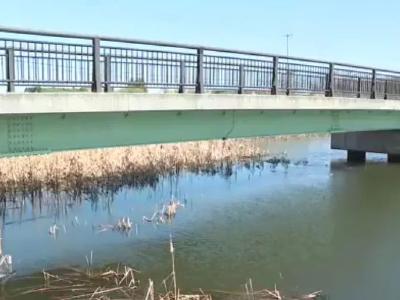 超标14倍！日本这一地水质检测异常→