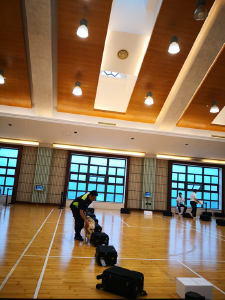 这15只聪明狗狗，考上“公务员”啦！