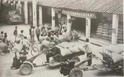 【党史上的黄冈粮食之八】春来无处不东风
