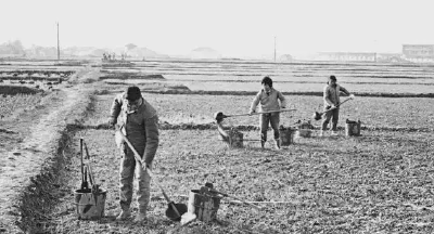 【党史上的黄冈粮食之十一】天工人巧日争新
