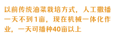 春天的故事｜40万亩油菜背后的科技力量