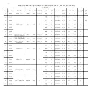 红安医疗卫生机构公开招聘成绩公告