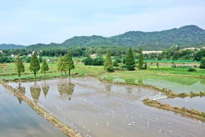 今日大暑，夏天最后一个节气来了！
