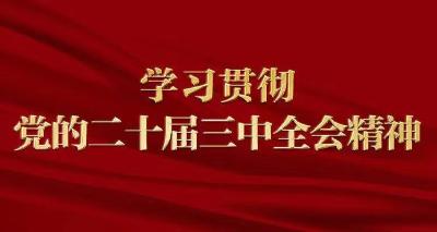 凝聚力量抓落实，开创进一步全面深化改革新局面——各地干部群众掀起学习贯彻党的二十届三中全会精神热潮