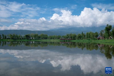 山清水秀茈碧湖 