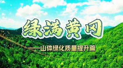 《绿满黄冈》系列短视频——山体绿化质量提升篇