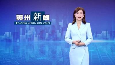 黄州区：以钉钉子精神抓好改革落实