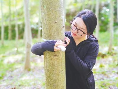 打样地、做标记，树木储碳算仔细 我在大山测碳汇