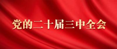 学习贯彻党的二十届三中全会精神丨讲“干货” 重实效 聚人心——福建、重庆、四川、宁夏组织开展多种形式宣讲活动