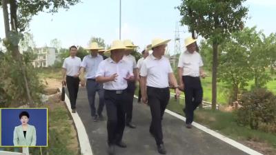 刘忠诚调研浠水芦河港小流域综合治理试点工作