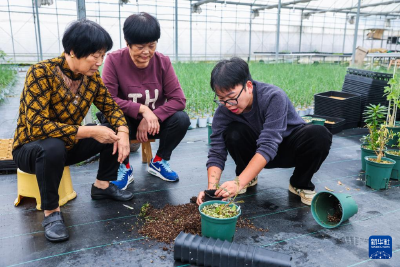 杭州富阳：特色共富工坊助力乡村振兴