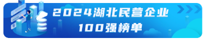 重磅！2024湖北民营企业百强榜单发布