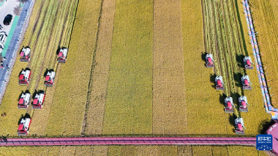 当好国家粮食稳产保供“压舱石”——“大粮仓”黑龙江秋收图景扫描