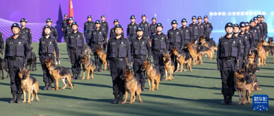 第六届全国警犬技术比赛圆满收官 