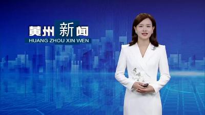 黄州区：杨家湾的“黄州萝卜”熟了