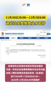 湖北全省社保费缴费业务暂停 