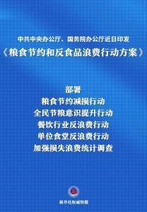 中办、国办印发重要行动方案