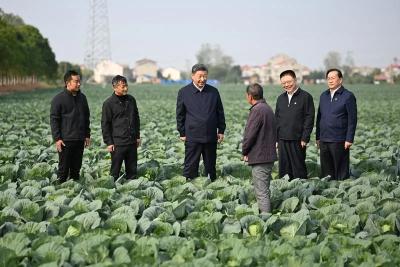 习近平在湖北考察时强调 鼓足干劲奋发进取 久久为功善作善成 奋力谱写中国式现代化湖北篇章