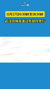 11月27日6:30时至18:30时，武汉绕城高速这些路段禁行 #武鄂黄黄