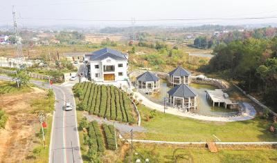 红安一农场讲述王近山将军故事