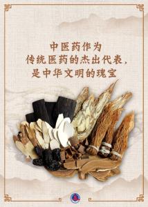 让“中华文明的瑰宝”散发时代之光——2024世界传统医药大会聚焦“多元、传承、创新”