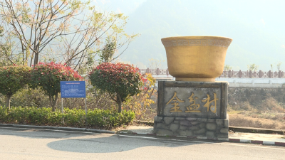 以节会为媒 燃起烟火气 龙感湖激发农文旅“融合”新气象
