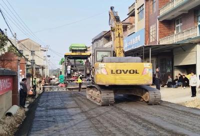 武穴这条路变身“绿色公路”