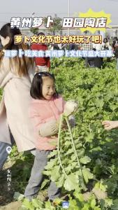 黄州萝卜田园陶店 | 黄州萝卜文化节盛大开幕！
