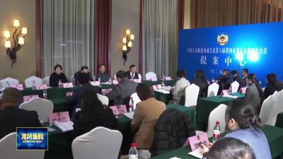 市政协六届四次会议进行提案集中审查