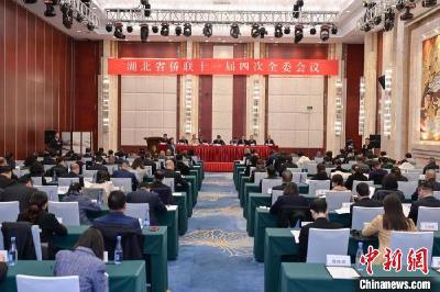 发挥侨智侨力 湖北将实施聚侨兴鄂行动