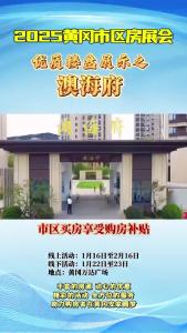 2025黄冈市区房展会优质楼盘展示之澳海府