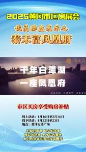 2025黄冈市区房展会优质楼盘展示之泰禾富凤凰府