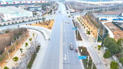 因地制宜！让城市绿起来、美起来
