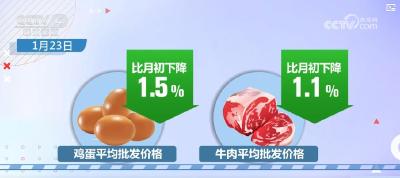 让百姓安心过年、放心消费 春节市场货足价稳