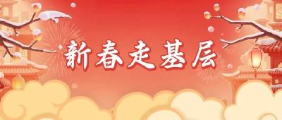 新春走基层 | 朝阳山村：以“莓”为媒生活美
