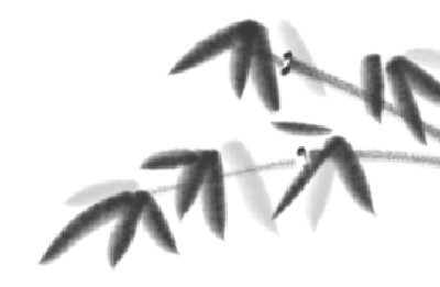 听见 | 见字如面