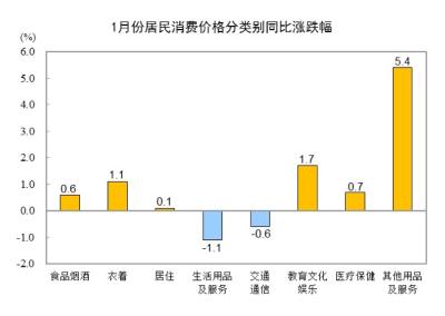 国家统计局：2025年1月份居民消费价格同比上涨0.5%