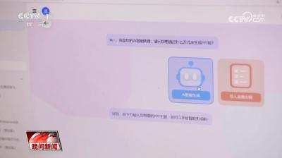 AI+政务：如何拥抱便利 应对挑战?